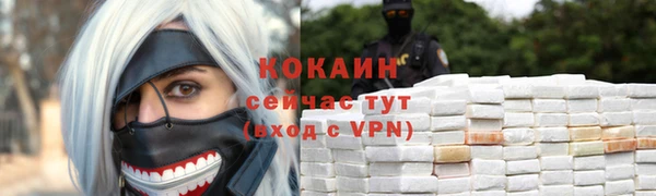 спайс Гусь-Хрустальный
