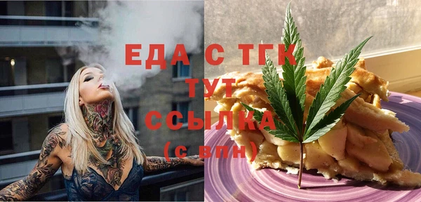 спайс Гусь-Хрустальный