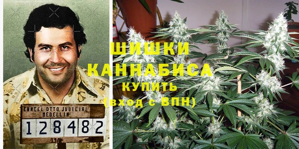 первитин Гусев