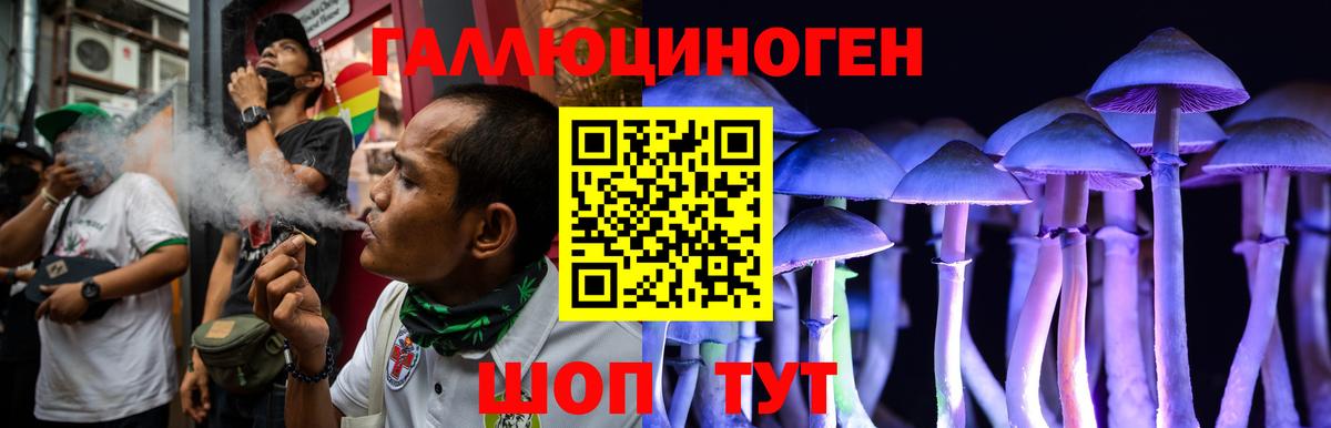 Джанкой  Галлюциногенные грибы Cubensis  Вход с VPN 