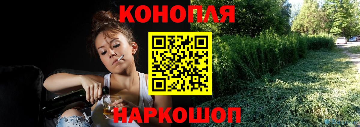 Конопля сатива Джанкой